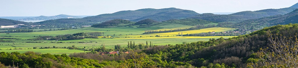 Szőlőhegy elnevezése 110 DSC 1024x233