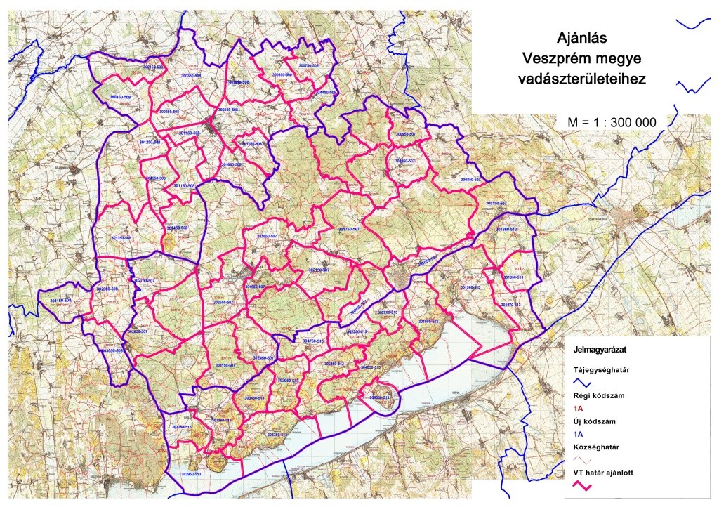 Határozatok jogerőre emelkedése Veszprém Megye áttekintő 1024x722 1024x722
