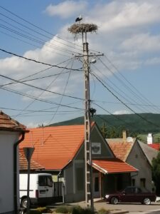Természeti értékeink Ertektar Gyolyafeszek 2023 1 225x300