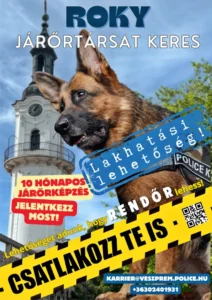 plakat police 6 2026