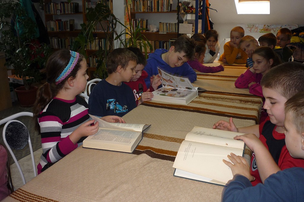 P1070844 KONYV 1024x683